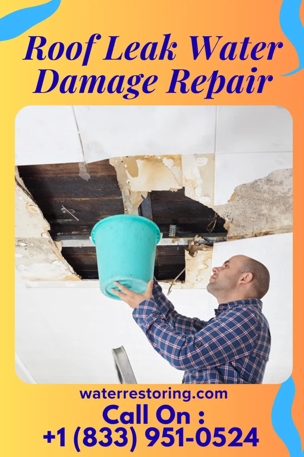 Roof Leak Water Damage Repair in Gruver, IA